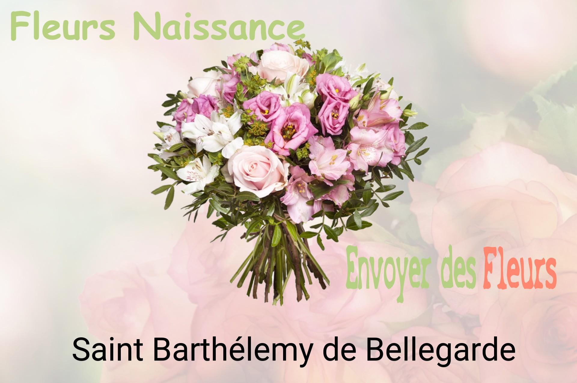 Bouquet de fleurs de naissance livré à Saint-Barthélemy-de-Bellegarde